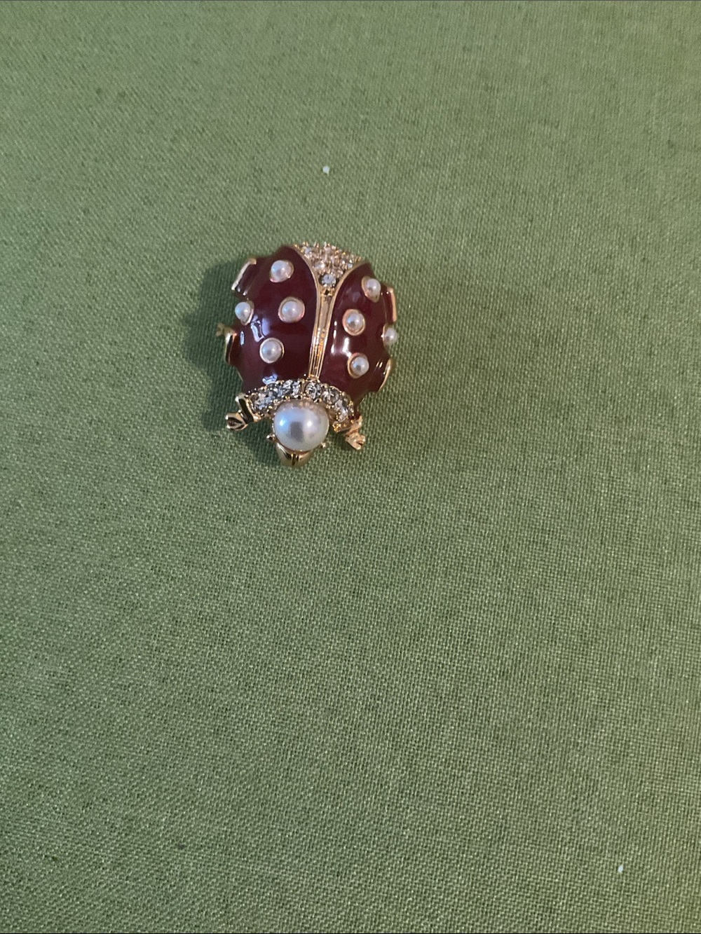 Rare MMA CN CINER Signed, Lady Bug Brooch